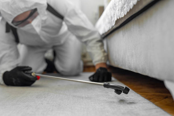Professional Ant Control technician working in Edinburg, IL