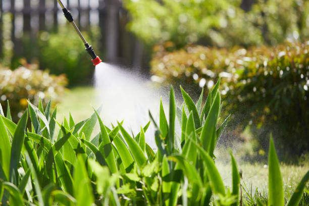 24/7 Emergency Ant Control experts in Edinburg, IL