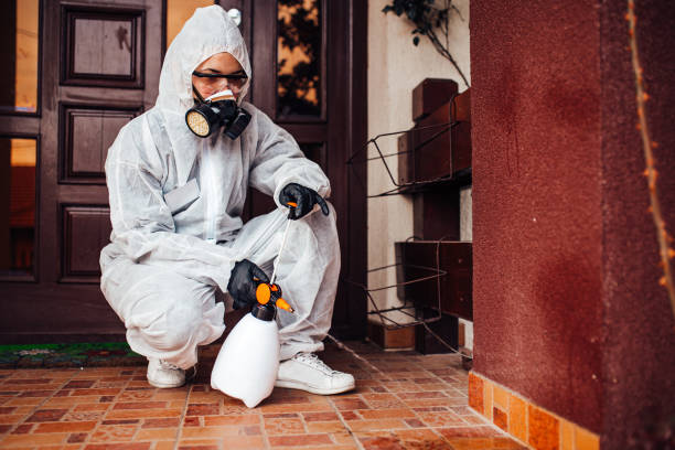 Reliable Ant Control contractor in Edinburg, IL by Nex Pest Control