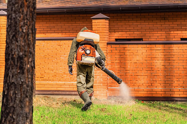 Trusted Cockroach Control service in Edinburg, IL - Nex Pest Control